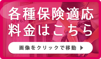 各種保険適応料金